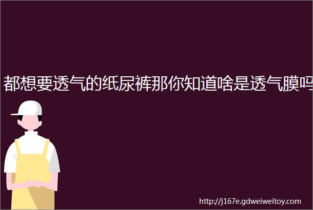 都想要透气的纸尿裤那你知道啥是透气膜吗