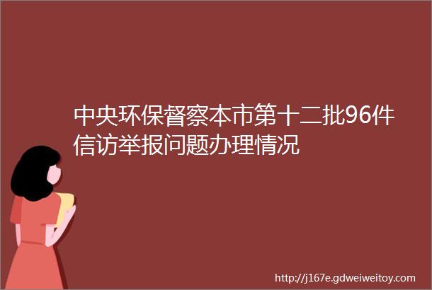 中央环保督察本市第十二批96件信访举报问题办理情况